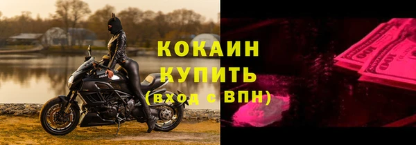 apvp Вяземский