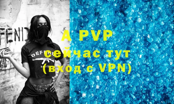 apvp Вяземский