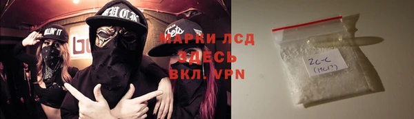 apvp Вяземский