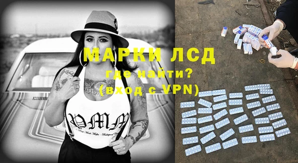 apvp Вяземский