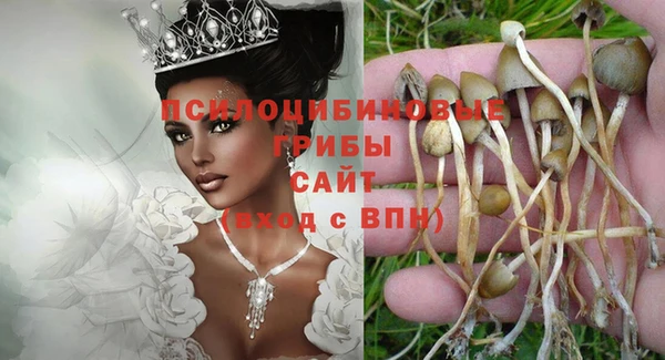 apvp Вяземский