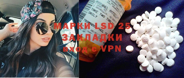 apvp Вяземский