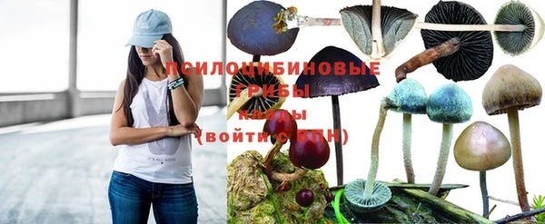 спиды Вязники