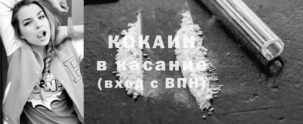apvp Вяземский
